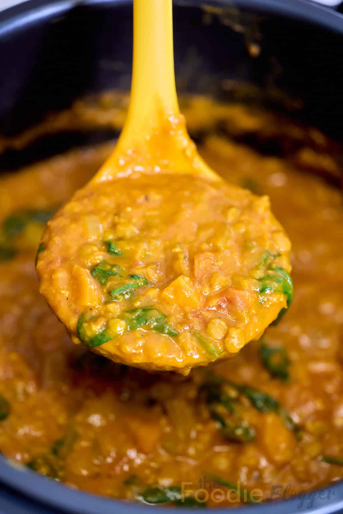 Easy Instant Pot Lentil Soup Recipe 2 The Best Instant Pot Lentil Soup TheFoodieBlogger 1