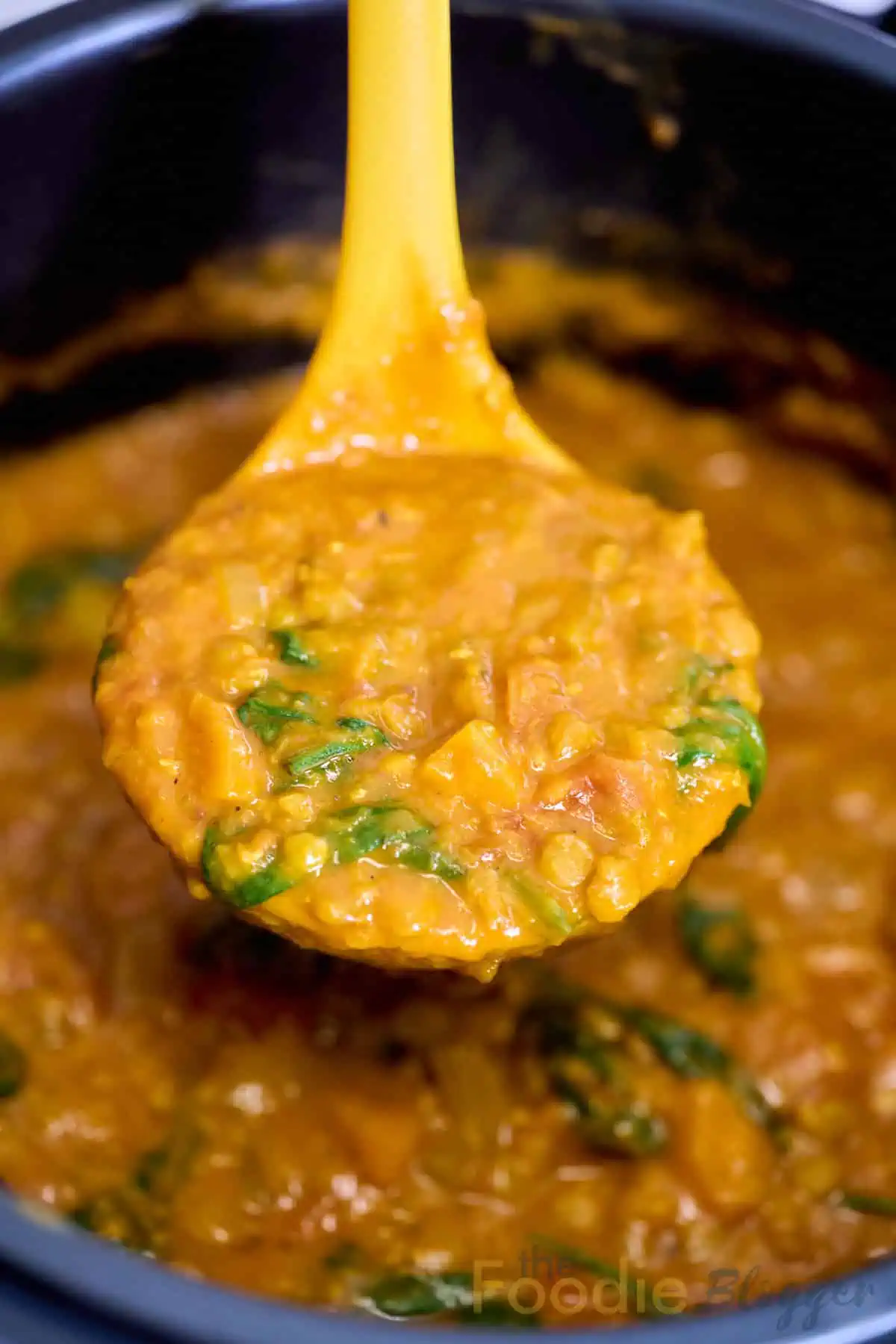 The Best Instant Pot Lentil Soup TheFoodieBlogger 1