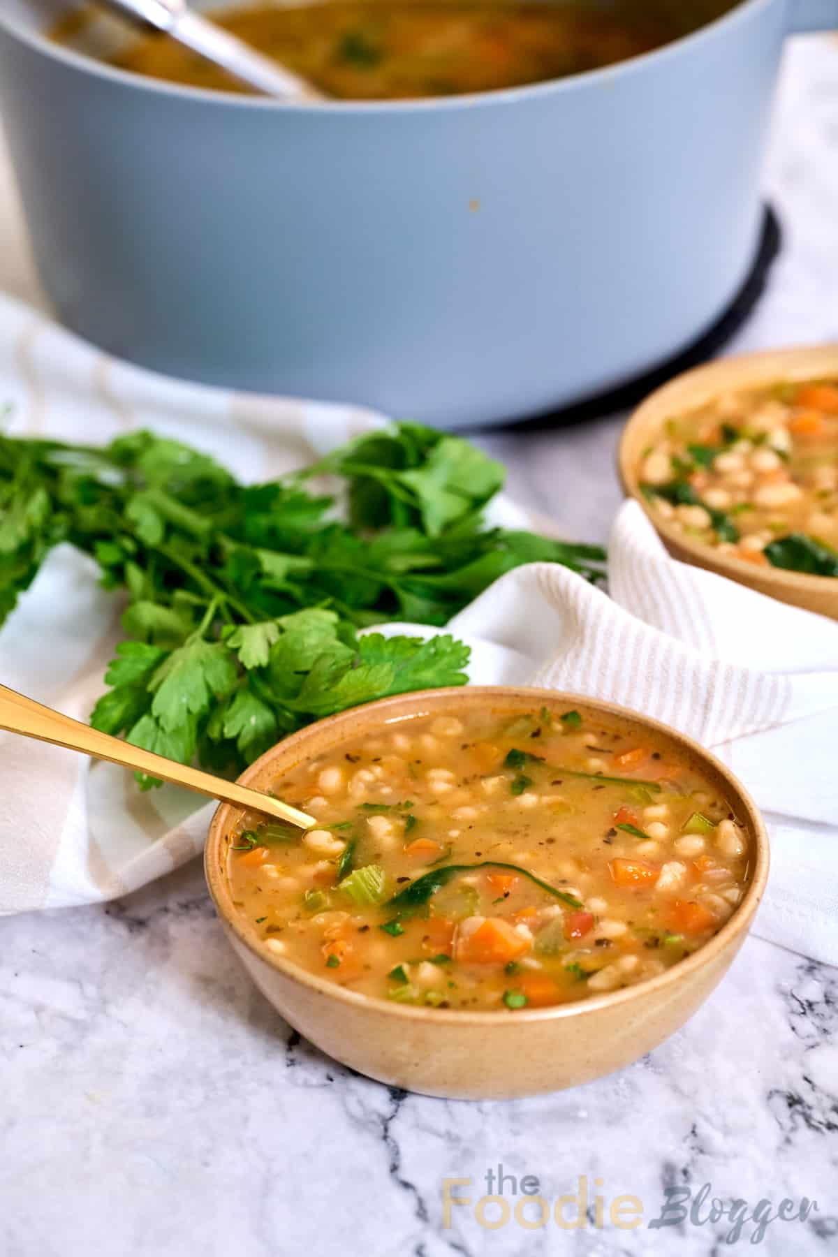 Mediterranean White Bean Soup 1 TheFoodieBlogger
