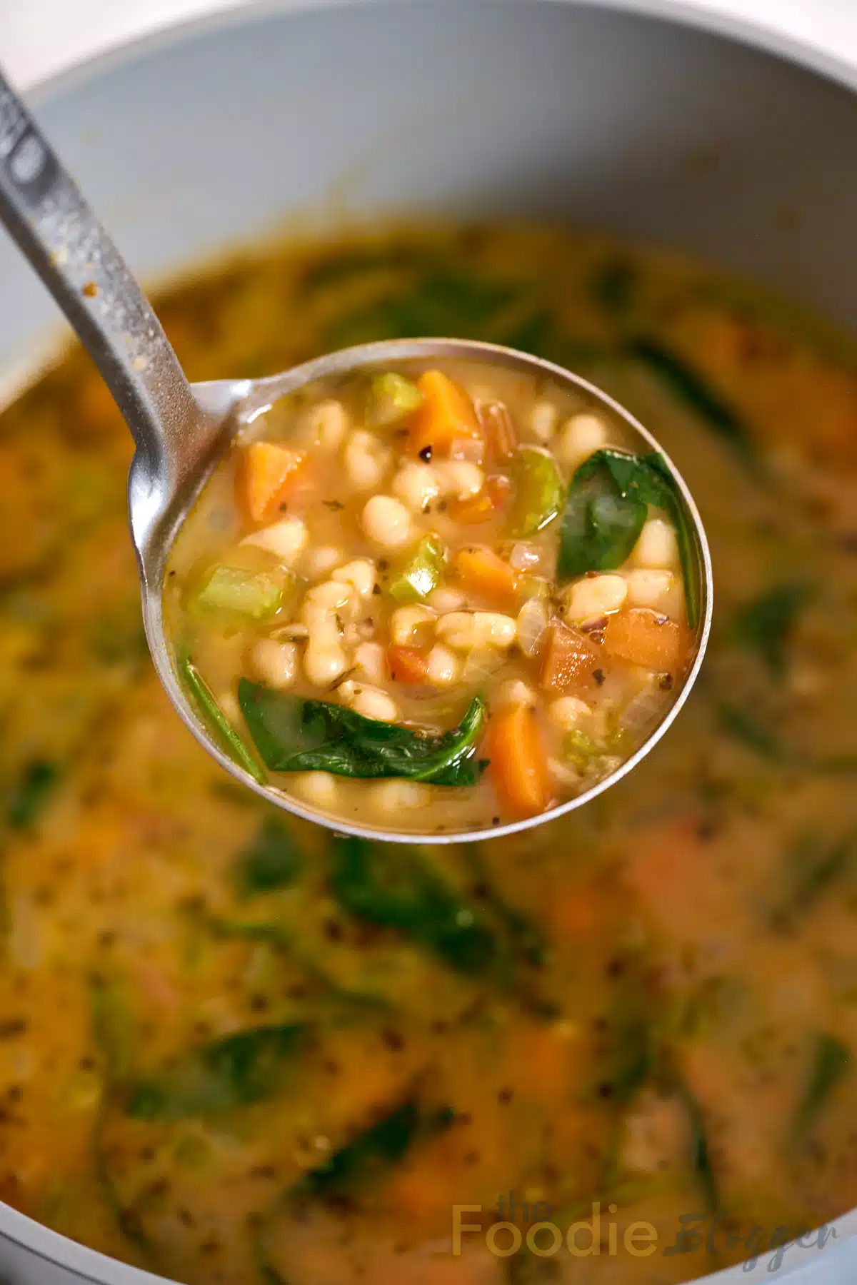 Mediterranean White Bean Soup TheFoodieBlogger