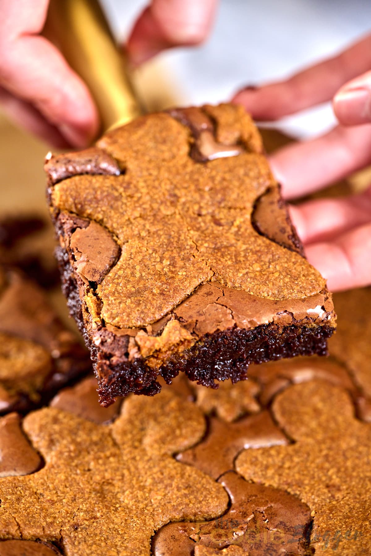 slice of gingerbread brownies to show texture
