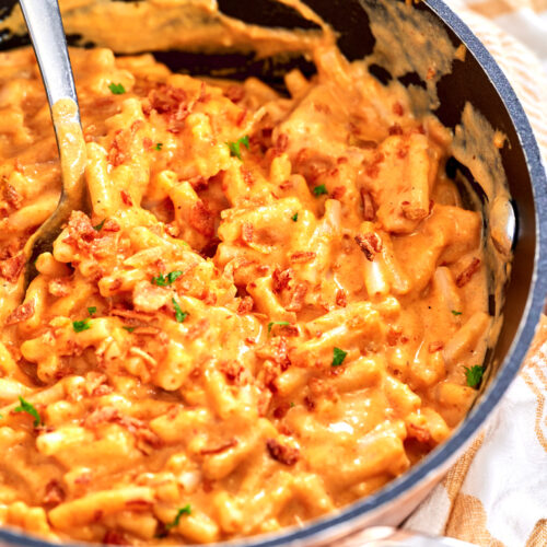 Creamy Pumpkin Mac and Cheese 6 easy creamy pumpkin mac and cheese thefoodieblogger