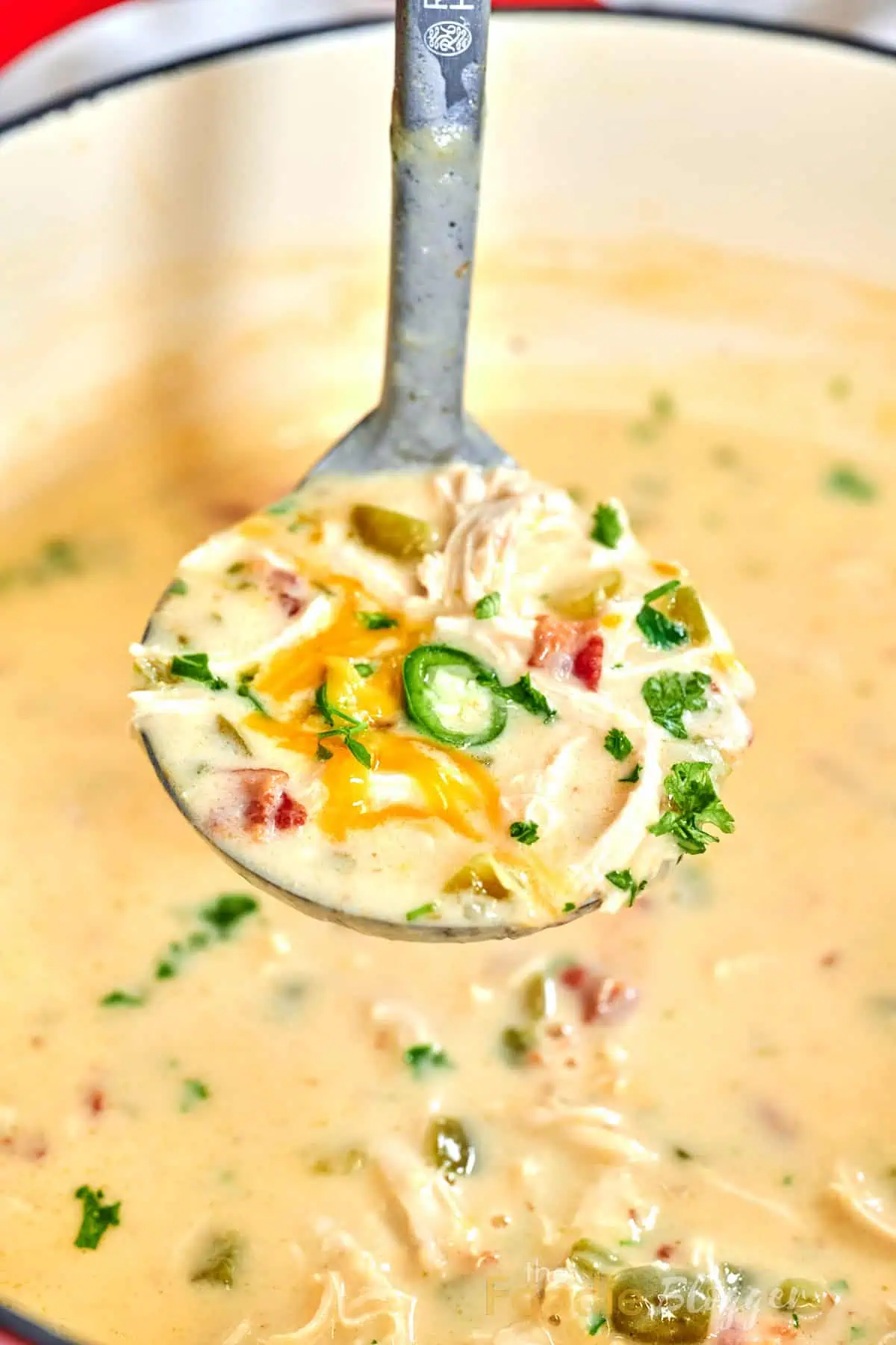 Jalapeno Popper Chicken Soup 12 Spoonful of spicy chicken-and-cheese soup garnished with fresh parsley