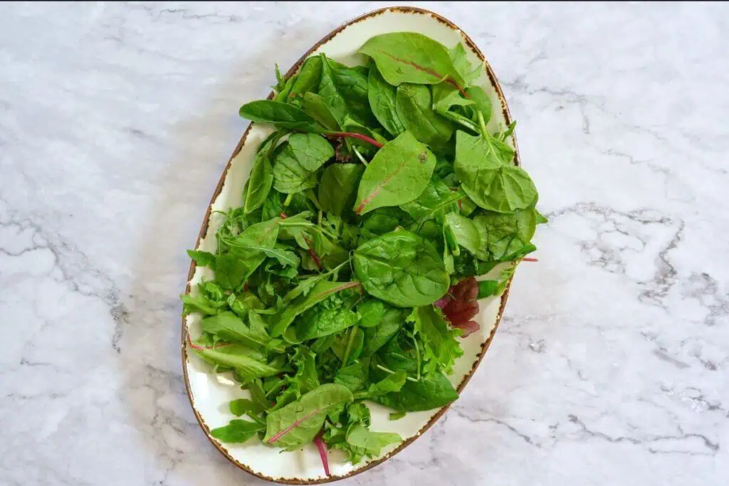 Apple Walnut Salad 4 Base layer of leafy greens prepared for apple walnut salad.