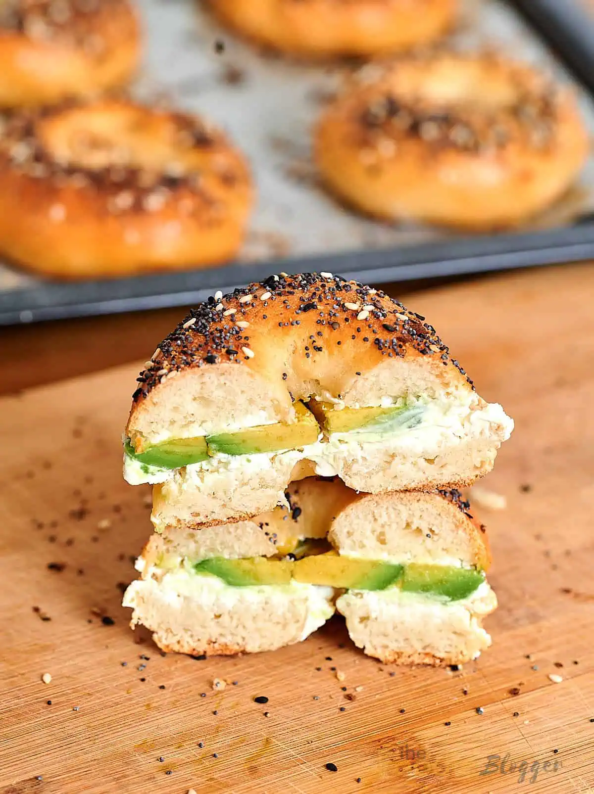 Cottage Cheese Bagels 2 Hand holding a sliced cottage cheese bagel filled with cream cheese and avocado slices.