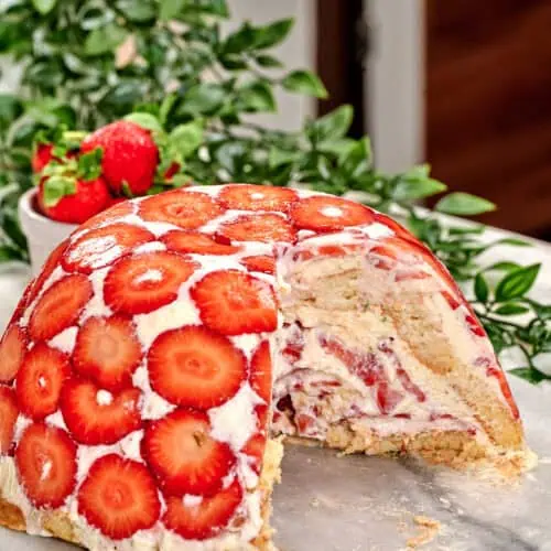 No-Bake Strawberry Lime Charlotte Cake 15 No Bake Strawberry Lime Charlotte Cake