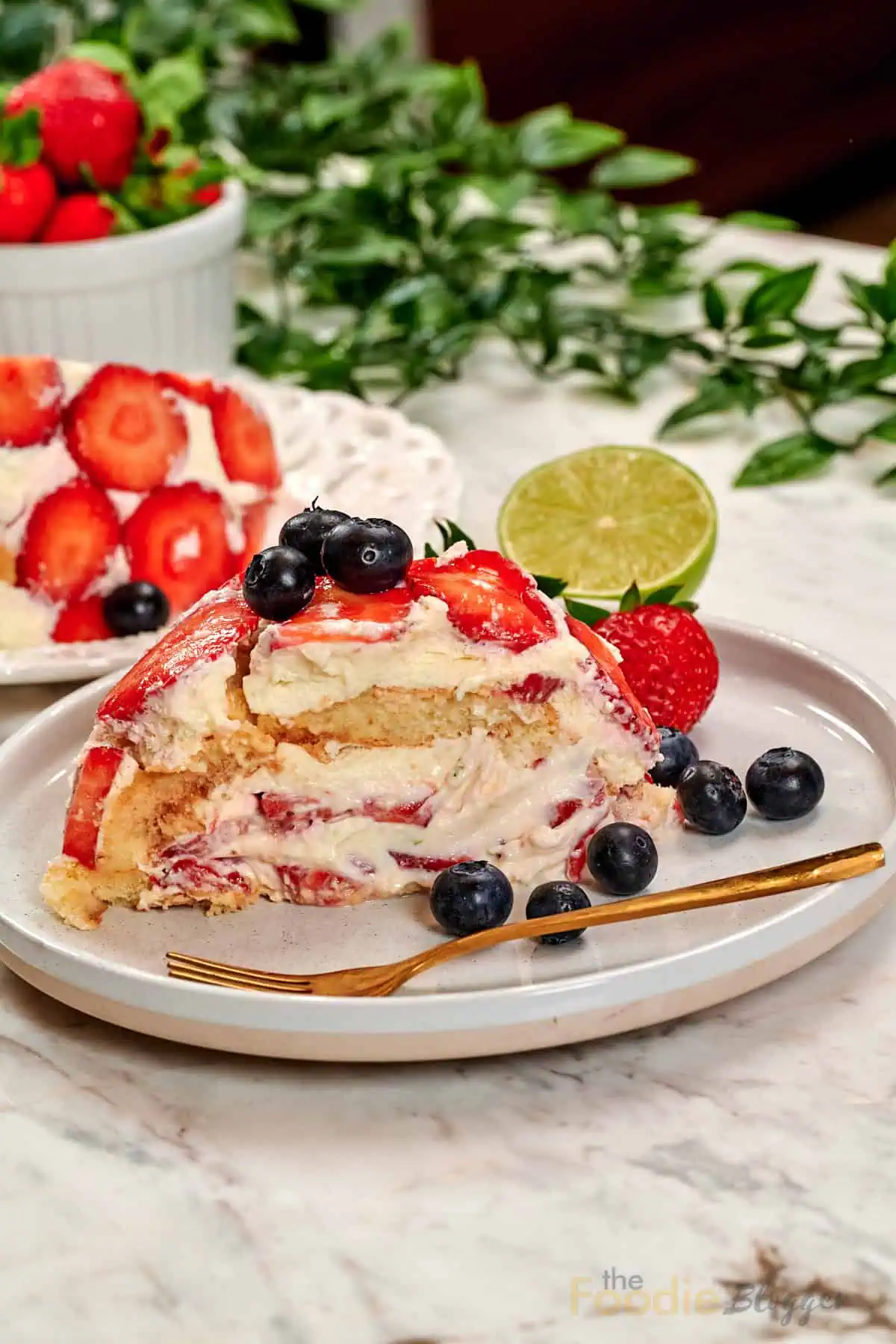 No-Bake Strawberry Lime Charlotte Cake 14 Close-up of a slice of no-bake strawberry lime Charlotte cake topped with fresh strawberries and blueberries, served with creamy lime filling and layered ladyfingers.
